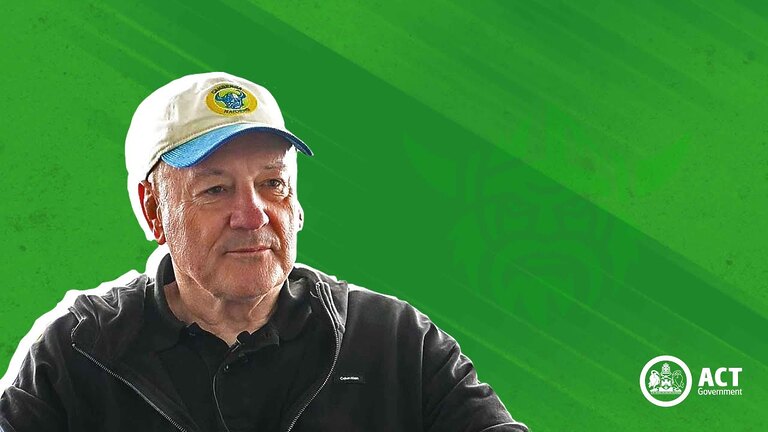 VIDEO: Bleeding Green Interviews: Episode Ten Tim Sheens