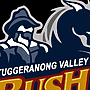 Tuggeranong Bushrangers: Coach Wanted