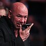 Raiders struck out as UFC boss denies horn call