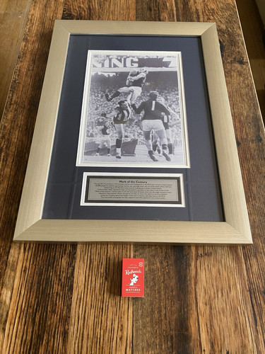 Blazed In Glory - 1994 Canberra Raiders Premiers - NRL Signed & Framed Jersey
