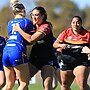 Katrina Fanning Shield Round Eight Preview