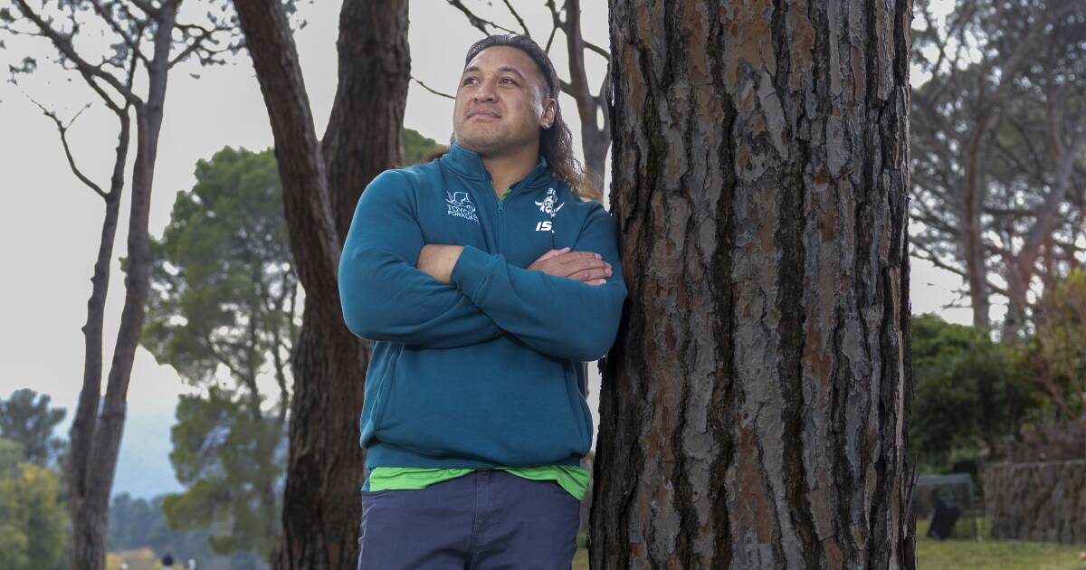 David Polkinghorne