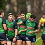 Jersey Flegg Cup: Round 19 Preview