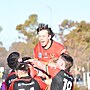 Allan Stars in Return as Bulls Claim Important Win