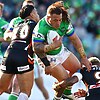 David Polkinghorne