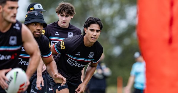 Act of Squad:Panthers predicted team and 2026 overview