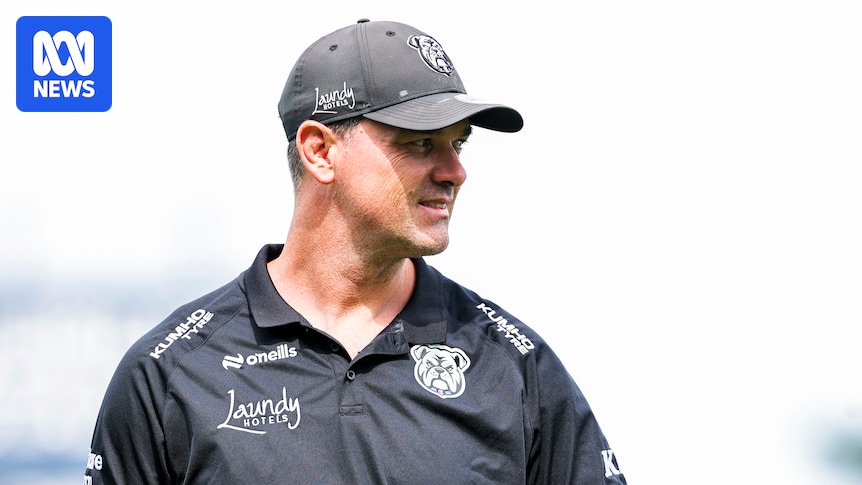 Glass shatters in coaching box at Canberra Stadium injuring Cameron Ciraldo